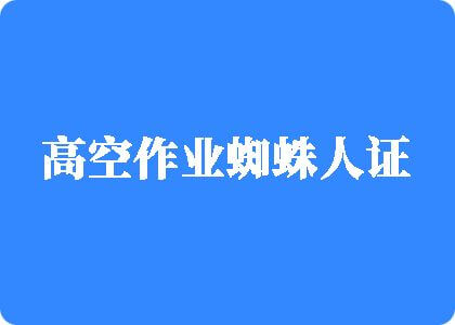 操骚逼导航高空作业蜘蛛人证